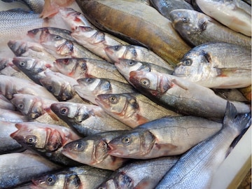 বাংলার ৭ ছোট মাছ পুষ্টির 'পাওয়ারহাউজ',ক্যানসারের ঝুঁকি কমায়, দূরে রাখে লিভার-কিডনির অসুখ