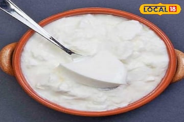 বাড়িতে পাতলেই ভীষণ 'টক' হয়ে যাচ্ছে দই? সহজ ট্রিক জানলেই জমাট বাঁধবে সুস্বাদু, মিষ্টি দই !