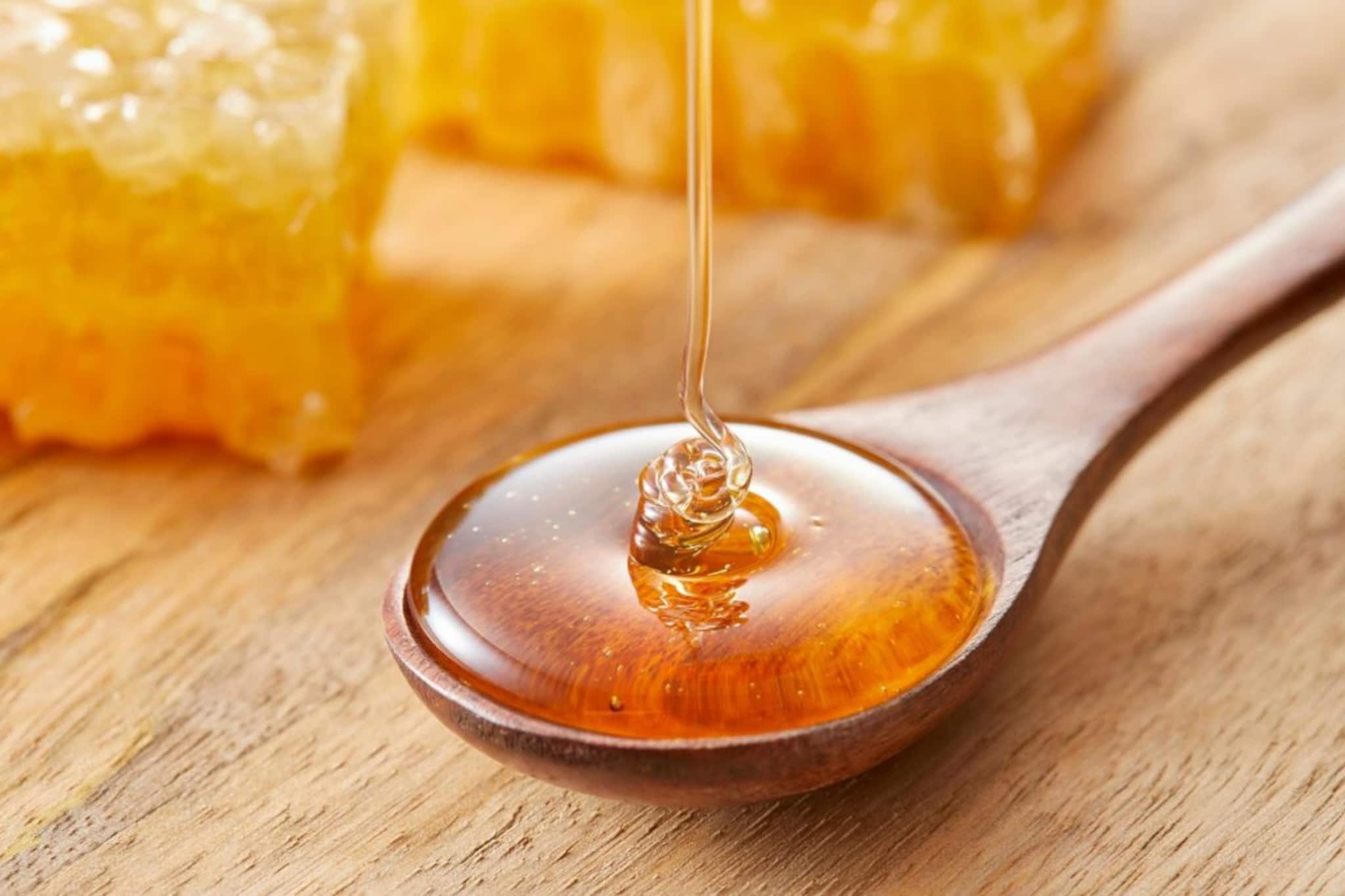 ভারতে ১০০ টা মধুর বোতলের মধ্যে ৭৭ টাই নকল, আপনার কেনা মধুও নকল নয়তো? বুঝবেন কীভাবে? রইল খাঁটি মধু চেনার সহজ উপায়