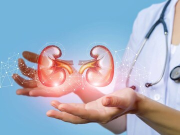 এগুলিই কিডনি ক্যানসারের প্রাথমিক লক্ষণ, আপনার শরীরে 'এই' পরিবর্তন দেখলে সাবধান, প্রাণঘাতী হতে পারে