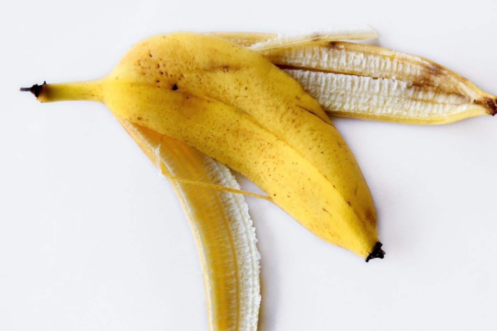 General Knowledge: অন্য ফল নয়, শুধু কলার খোসায় পা দিলেই পড়ে যান কেন? ৯৯% মানুষ জানেন না আসল কারণ! General Knowledge: অন্য ফল নয়, শুধু কলার খোসায় পা দিলেই পড়ে যান কেন? ৯৯% মানুষ জানেন না আসল কারণ!