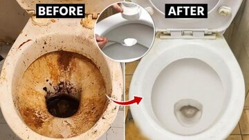 ব্রাশ ছাড়াই ঝকমকে সাফ টয়লেট সিট! ১০ টাকা খরচ, 'এই' ঘরোয়া কৌশল ব্যবহার করে দেখুন, ম্যাজিকের মতো কাজ