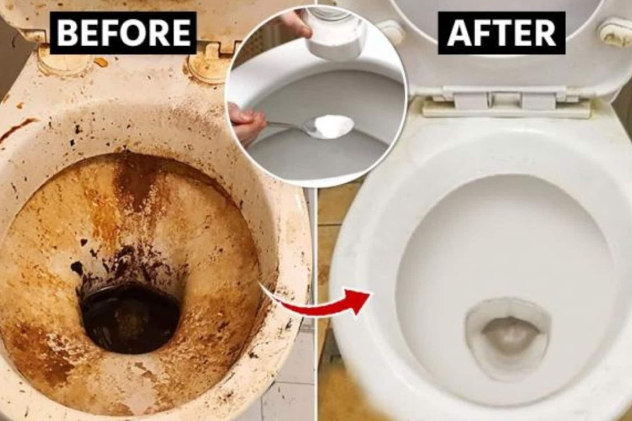 ব্রাশ ছাড়াই ঝকমকে সাফ টয়লেট সিট! ১০ টাকা খরচ, 'এই' ঘরোয়া কৌশল ব্যবহার করে দেখুন, ম্যাজিকের মতো কাজ