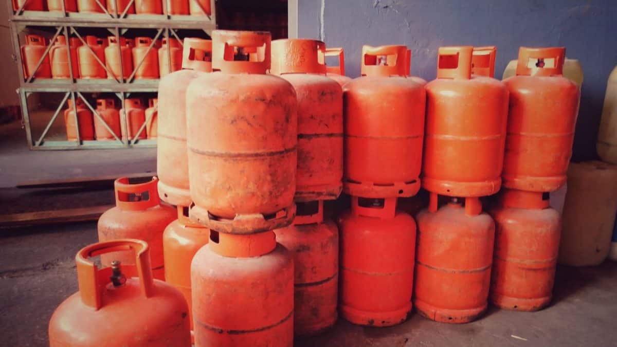 প্রতিদিন ব্যবহার করেন, কিন্তু জানেন না—LPG সিলিন্ডার লাল রঙের কারণ কী?
