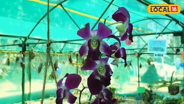 পুরুলিয়ায়