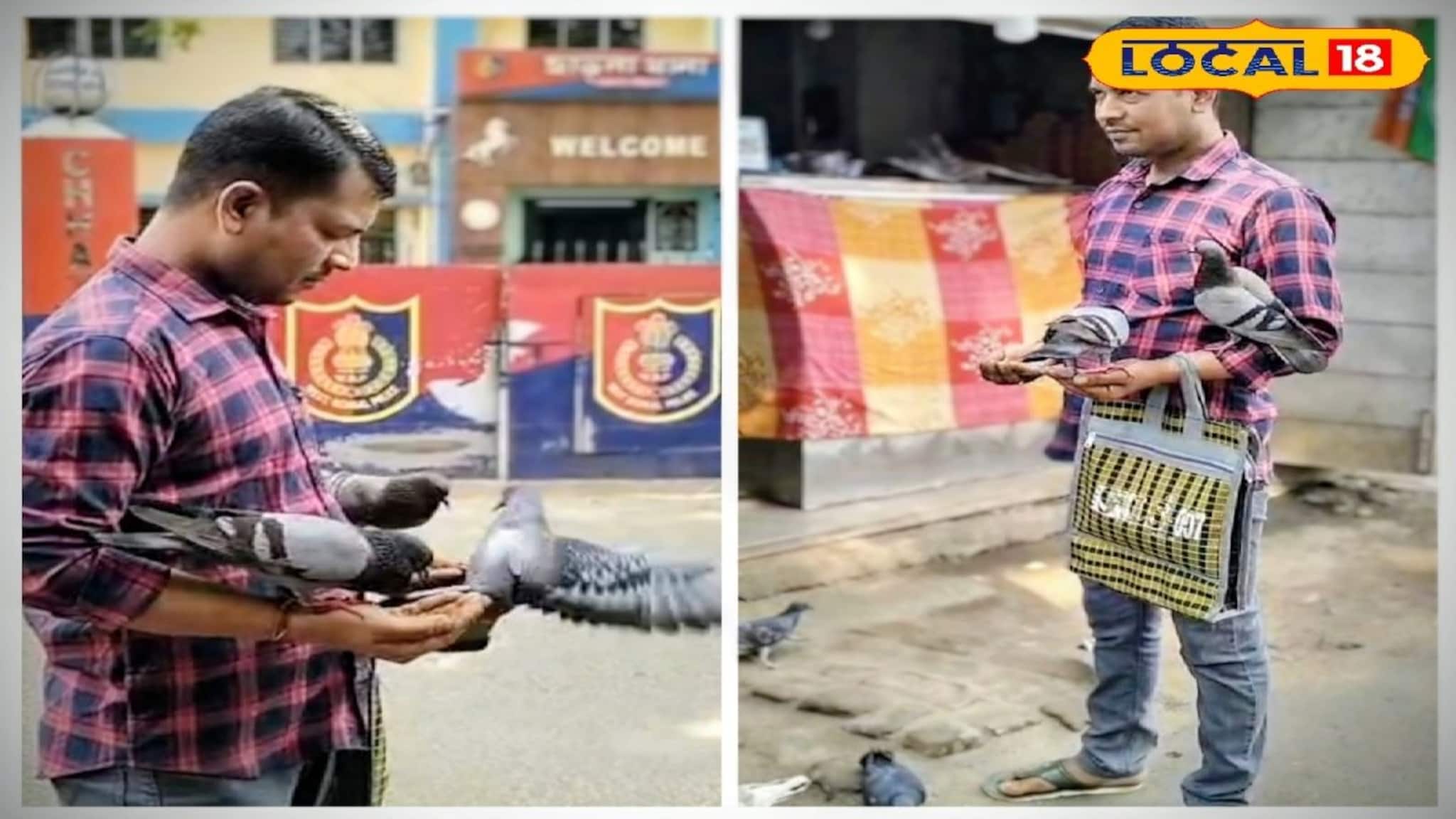 অদৃশ্য ভালবাসার টান! সিভিক ভলান্টিয়ারের ডাকে উড়ে আসে ঝাঁকে ঝাঁকে পায়রা