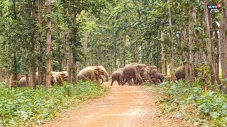 প্রতীকী ছবি/ Representative Image