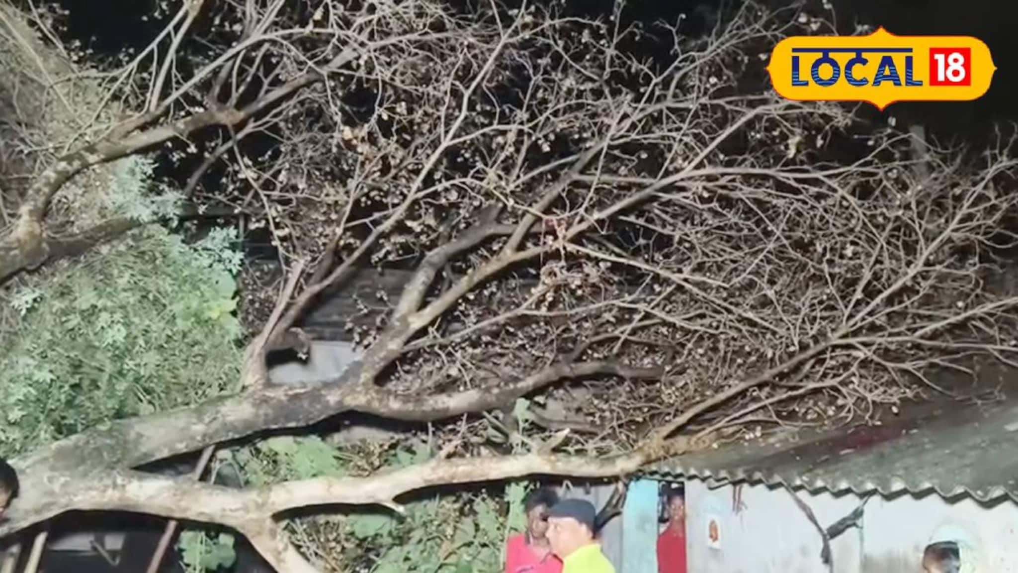 Bankura News: কালবৈশাখীর তাণ্ডবে লন্ডভন্ড বিষ্ণুপুর! ভাঙল একাধিক বাড়ি-গাছ, টিনের শেড চাপা পড়ে প্রাণ হারালেন এক ব্যক্তি