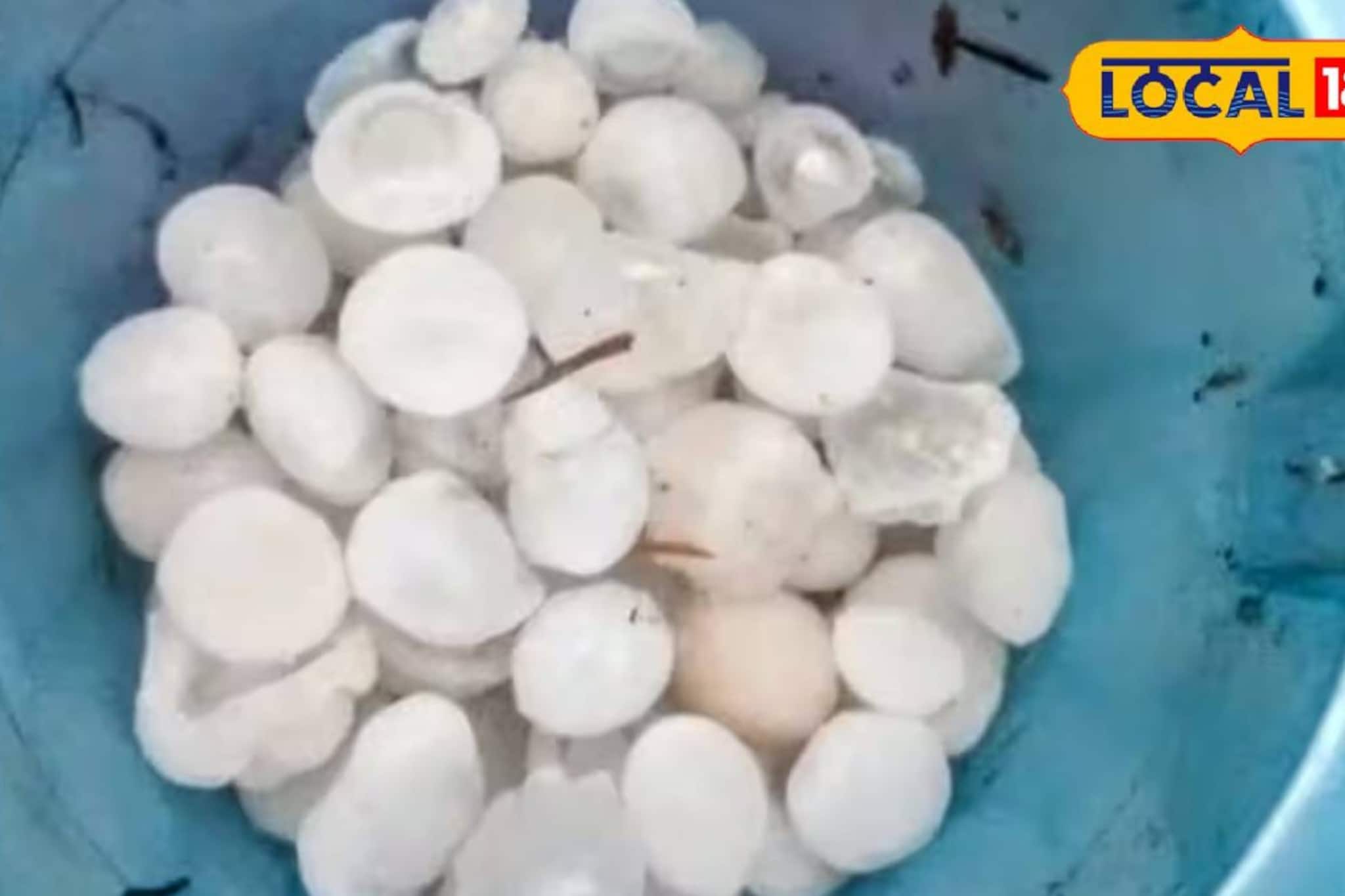 বাঁকুড়ার আবহাওয়ায় নাটকীয় পরিবর্তন! কাঁচা সবজি-আলু চাষে ক্ষতির আশঙ্কা বাঁকুড়ার আবহাওয়ায় নাটকীয় পরিবর্তন! কাঁচা সবজি-আলু চাষে ক্ষতির আশঙ্কা