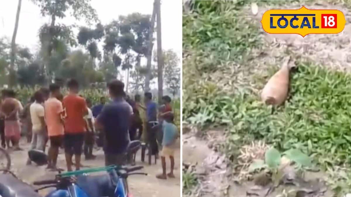 Cooch Behar News: ভোটের মুখে যুদ্ধের সরঞ্জাম উদ্ধার! কোচবিহারে মিলল ...