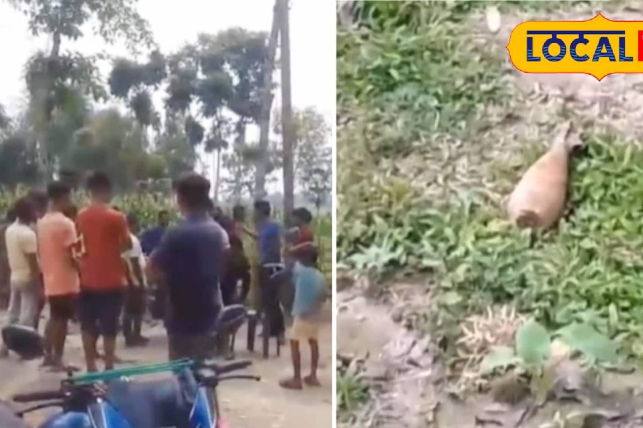 ভোটের মুখে যুদ্ধের সরঞ্জাম উদ্ধার! কোচবিহারে মিলল মর্টার শেল