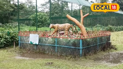 রসিকবিল মিনি জু