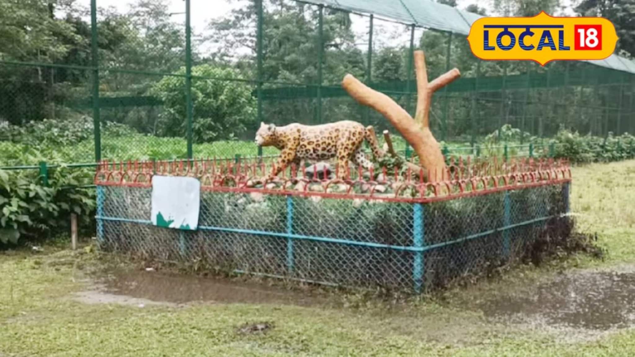 Weekend Trip: আলিপুর চিড়িয়াখানা তো অনেকেই গিয়েছেন! এবার ঘুরে আসুন রসিকবিল মিনি জু, উইকেন্ড ট্রিপের সেরা ডেস্টিনেশন