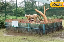 Weekend Trip: আলিপুর চিড়িয়াখানা তো অনেকেই গিয়েছেন! এবার ঘুরে আসুন রসিকবিল মিনি জু, উইকেন্ড ট্রিপের সেরা ডেস্টিনেশন