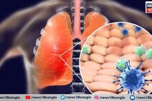 New COVID Variant: আবার কোভিডের কালো ছায়া! আমেরিকা থেকে Cicada ভ্যারিয়েন্ট ছড়িয়েছে ২২টি দেশে, ভারত কতটা সুরক্ষিত?