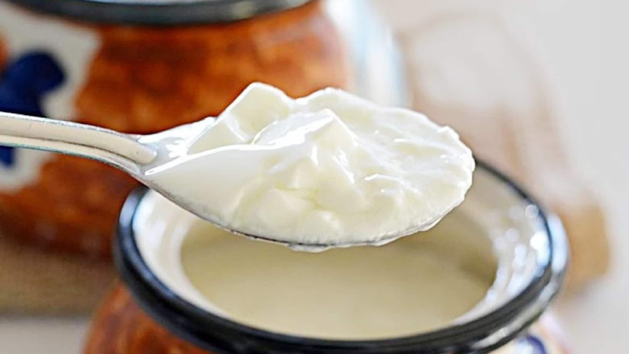 Curd: গরমে দই খাওয়া উচিৎ সকলেই জানেন, কিন্তু দই না খেলে কী হয় জানেন? অবশ্যই সকলের জানা উচিৎ