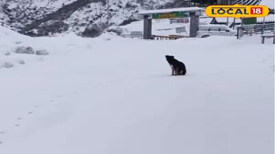 সান্দাকফুতে প্রবল তুষারপাত