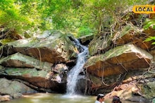 Jhargram Tourism: জঙ্গলের অন্তরালে পাহাড়ের গা বেয়ে ঝরনা! প্রকৃতির মাঝে হারিয়ে যাওয়ার হাতছানি, ঝাড়গ্রামের লুকানো রত্ন ঢাঙিকুসুম