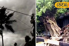 Kalbaisakhi Damage: আধ ঘণ্টার কালবৈশাখীতে লন্ডভন্ড দিনহাটা! গুরুত্বপূর্ণ রাস্তায় গাছ পড়ে ব্যাহত যান চলাচল, অজস্র দোকান-গাড়ির ক্ষতি