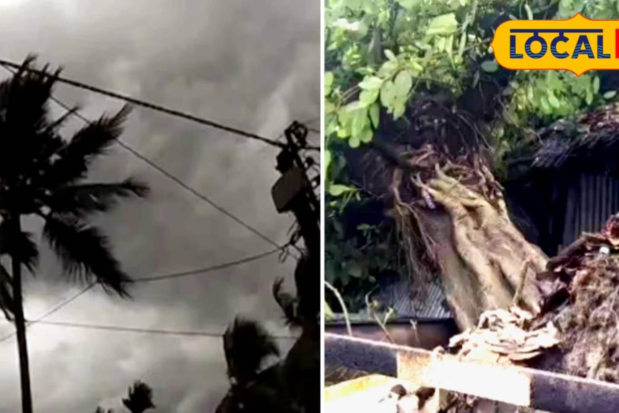 আধ ঘণ্টার কালবৈশাখীতে লন্ডভন্ড দিনহাটা! গুরুত্বপূর্ণ রাস্তায় পড়ল গাছ, অজস্র দোকান-গাড়ির ক্ষতি