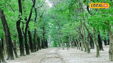 ছবির মতো সুন্দর! বালুরঘাটের বুকে এক অপূর্ব অফবিট স্পট, শান্ত-শীতল পরিবেশে ক্লান্তি ছুমন্তর ছবির মতো সুন্দর! বালুরঘাটের বুকে এক অপূর্ব অফবিট স্পট, শান্ত-শীতল পরিবেশে ক্লান্তি ছুমন্তর