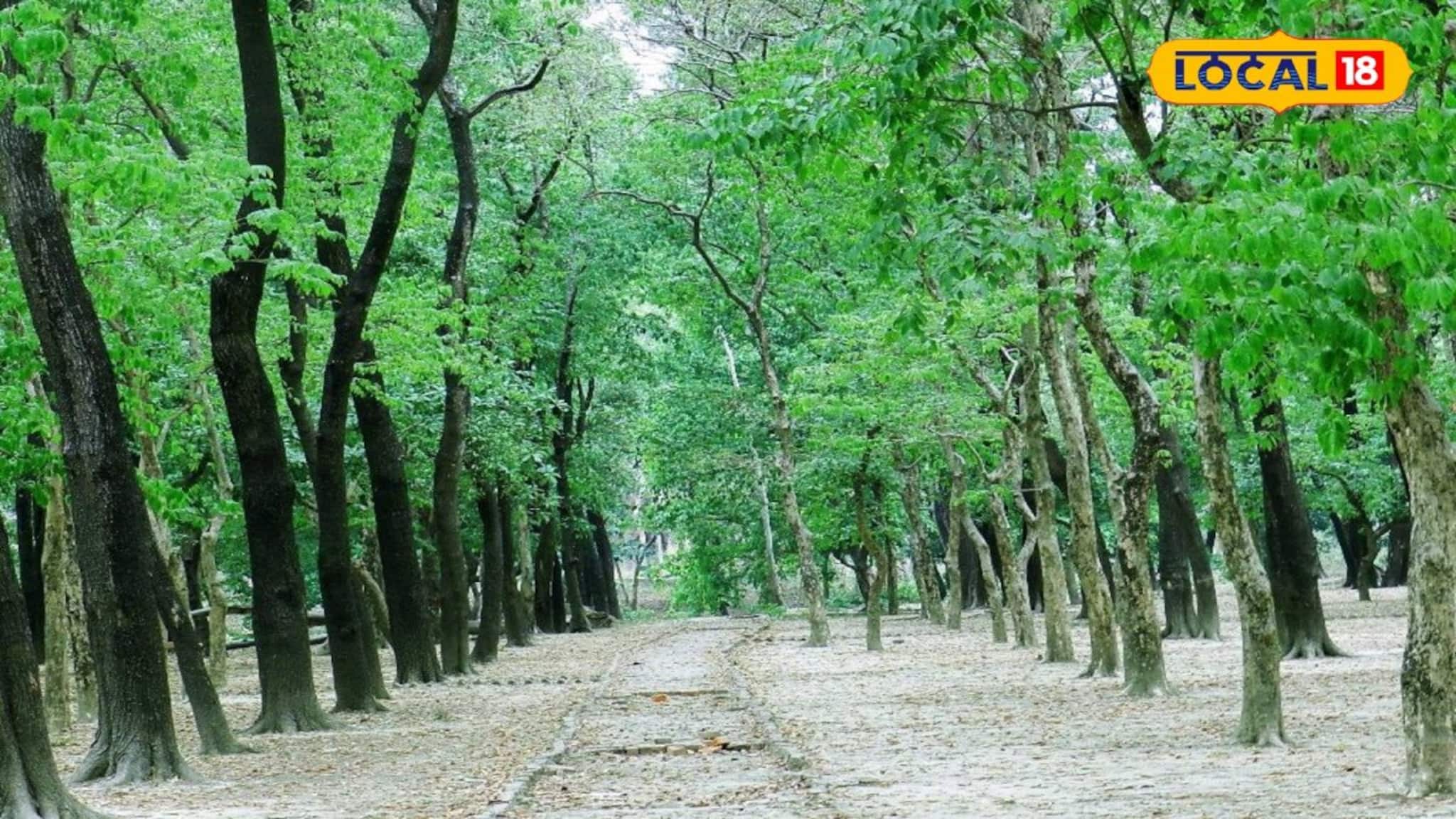 ছবির মতো সুন্দর! বালুরঘাটের বুকে এক অপূর্ব অফবিট স্পট, শান্ত-শীতল পরিবেশে ক্লান্তি ছুমন্তর