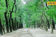 North Bengal Offbeat: ছবির মতো সুন্দর! বালুরঘাটের বুকে এক অপূর্ব অফবিট স্পট, এখানকার শান্ত-শীতল পরিবেশে শহরের সব ক্লান্তি ছু-মন্তর