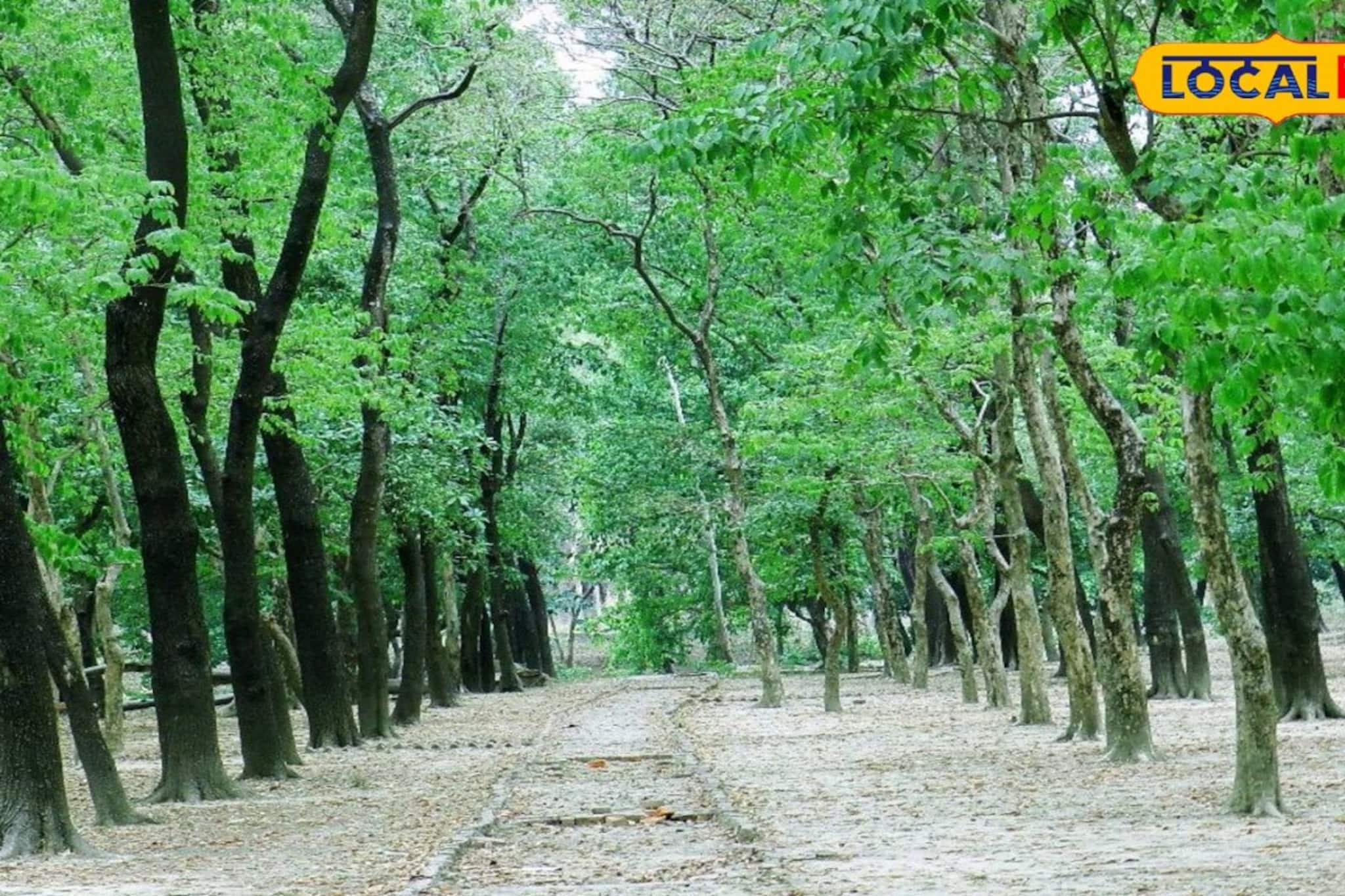 ছবির মতো সুন্দর! বালুরঘাটের বুকে এক অপূর্ব অফবিট স্পট, শান্ত-শীতল পরিবেশে ক্লান্তি ছুমন্তর ছবির মতো সুন্দর! বালুরঘাটের বুকে এক অপূর্ব অফবিট স্পট, শান্ত-শীতল পরিবেশে ক্লান্তি ছুমন্তর