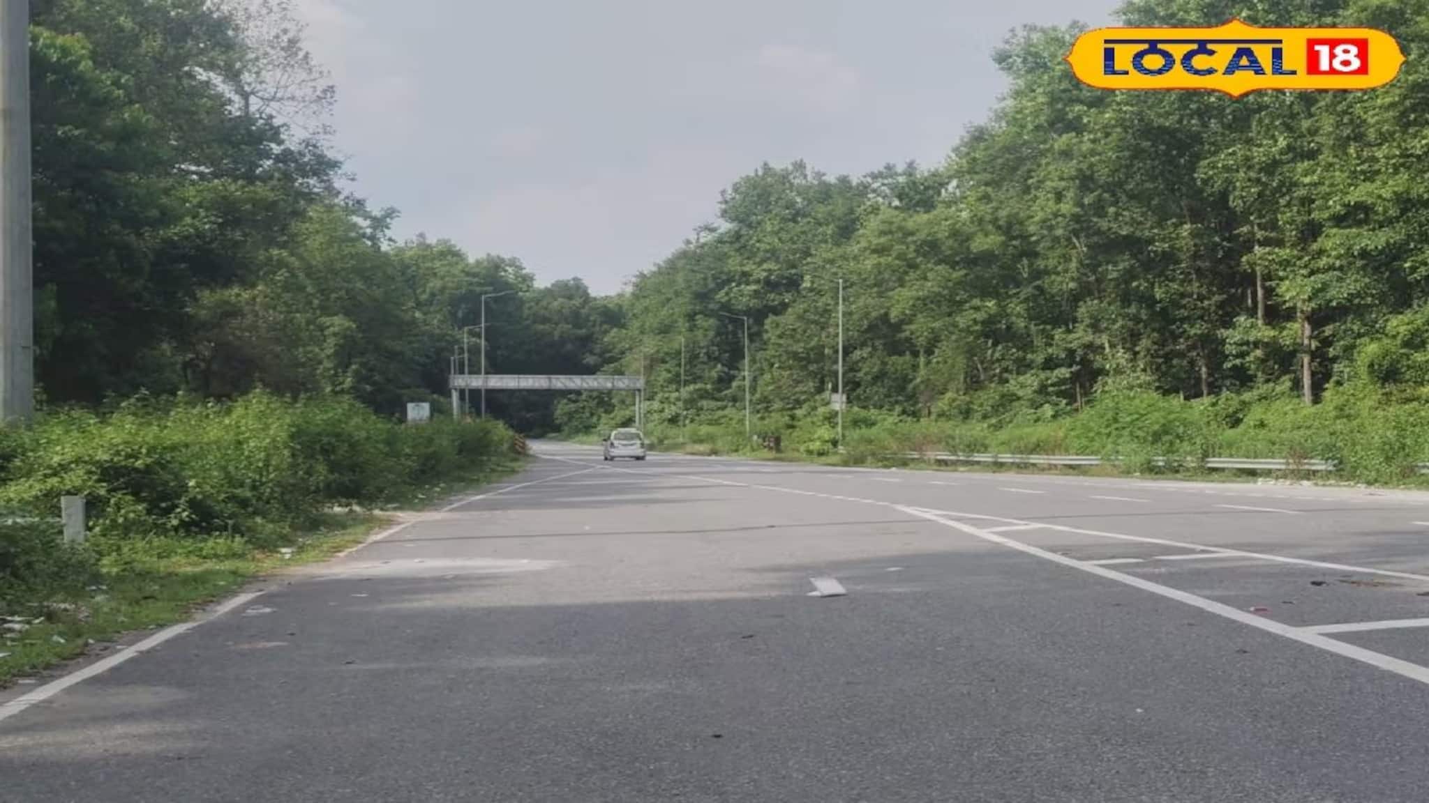 Holi 2026 Dooars Tour: হোলিতে লাটাগুড়ি, গরুমারা বেড়াতে যাচ্ছেন? 'এই' তথ্য না জানলে পণ্ড বেড়ানো, অবশ্যই জানুন