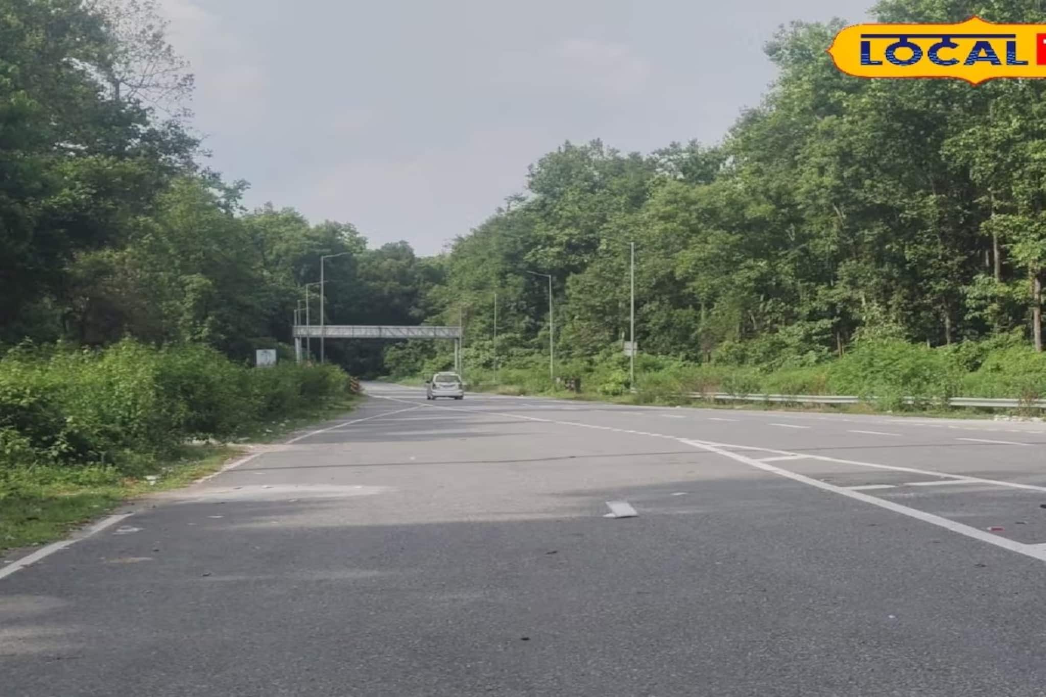 হোলিতে লাটাগুড়ি, গরুমারা বেড়াতে যাচ্ছেন? 'এই' তথ্য না জানলে পণ্ড বেড়ানো, অবশ্যই জানুন হোলিতে লাটাগুড়ি, গরুমারা বেড়াতে যাচ্ছেন? 'এই' তথ্য না জানলে পণ্ড বেড়ানো, অবশ্যই জানুন