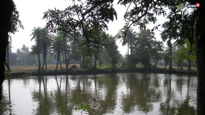 প্রতীকী ছবি