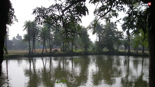 প্রতীকী ছবি