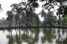 Bangla News: দোল খেলার পর স্নানে নেমে বিপত্তি, রহড়ায় এক কিশোরের মৃত্যু, গুরুতর জখম আরও এক