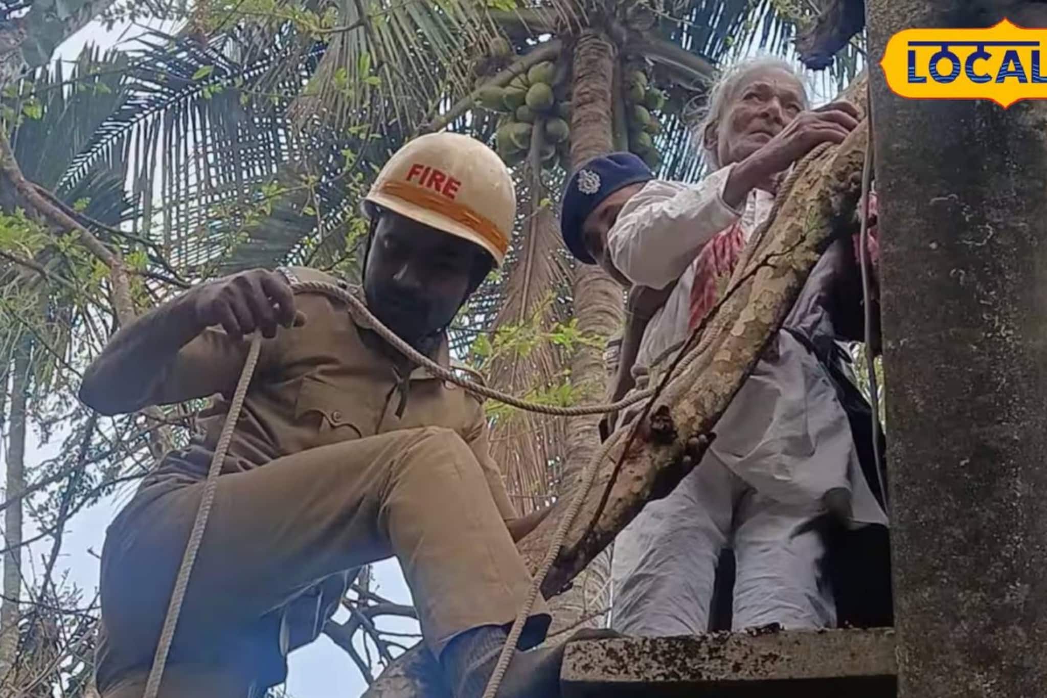 চাবির খোঁজে ছাদ টপকে গাছে! দমকল ডেকে নামাতে হল নব্বই উর্ধ্ব বৃদ্ধকে