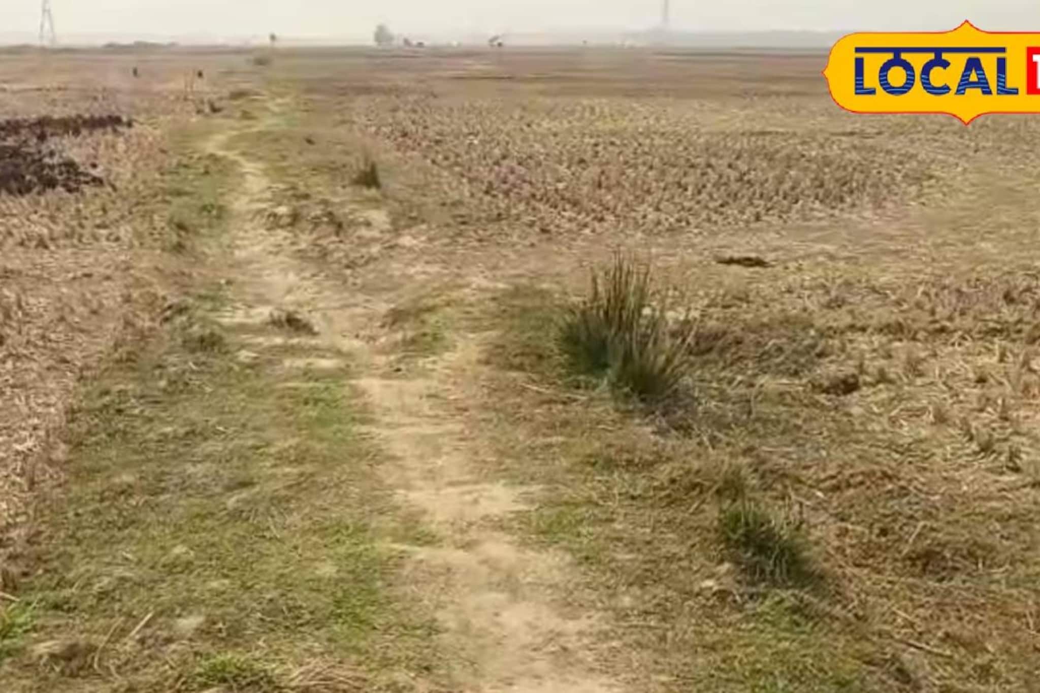 কালনায় থমকে প্রায় ৩০০ বিঘা জমির চাষাবাদ! ধান-আলুর মাঠে এখন ধুলো