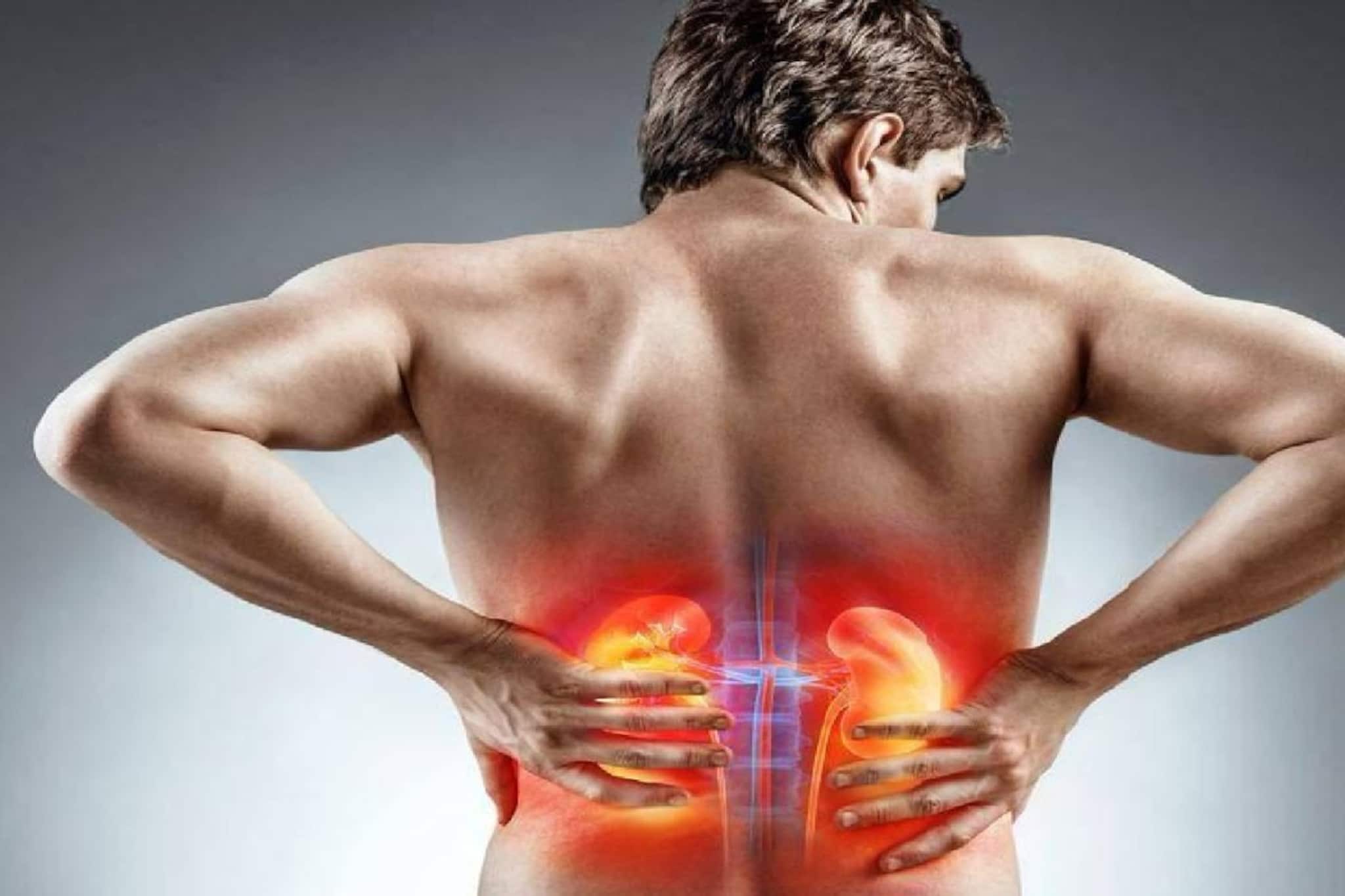 শুরুতে ধরা পড়লে কিডনির অসুখ সারে, 'ফার্স্ট স্টেজ'-এ শরীরে যে ৪ লক্ষণ ফুটে ওঠে শুরুতে ধরা পড়লে কিডনির অসুখ সারে, 'ফার্স্ট স্টেজ'-এ শরীরে যে ৪ লক্ষণ ফুটে ওঠে