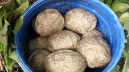 মুর্শিদাবাদে উদ্ধার তাজা বোমাRepresentative Image মুর্শিদাবাদে উদ্ধার তাজা বোমাRepresentative Image