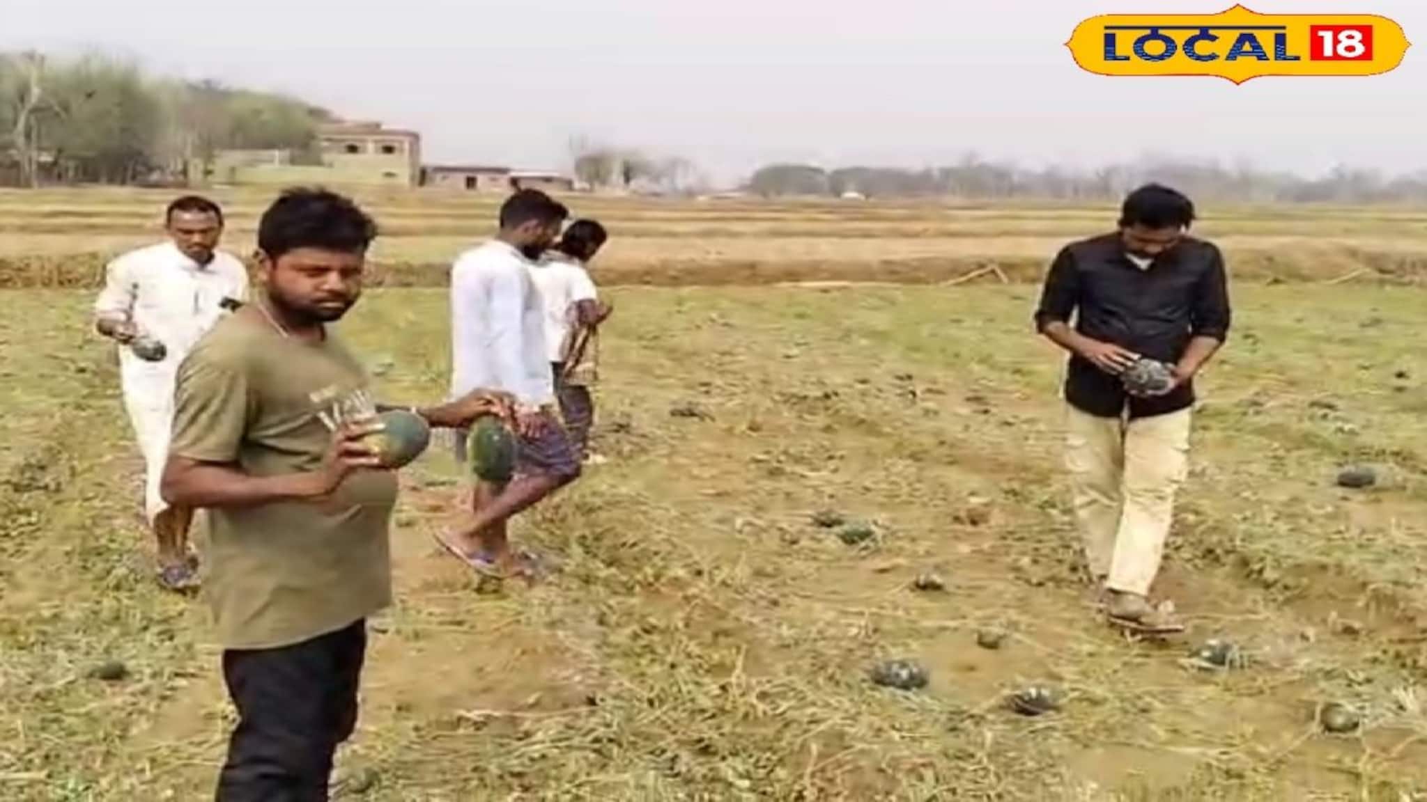 Purulia News: আবহাওয়ার খামখেয়ালি মেজাজ! অকাল বর্ষায় গ্রীষ্মের মরশুমি ফলের চাষে বিরাট ক্ষতি, সরকারি সাহায্যের আশায় পুরুলিয়ার অসহায় চাষিরা