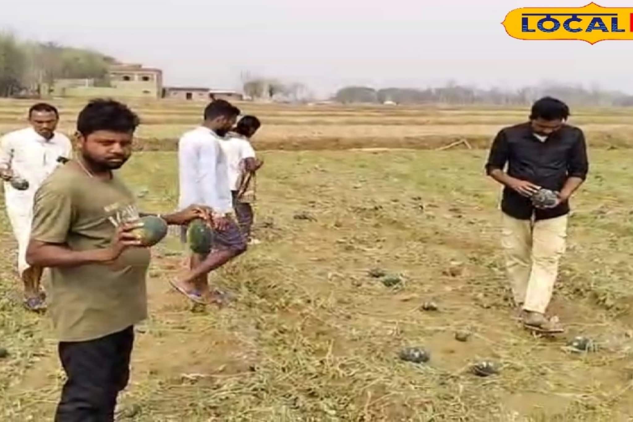 আবহাওয়ার খামখেয়ালি মেজাজ! পুরুলিয়ায় অকাল বর্ষায় গ্রীষ্মের মরশুমি ফলের চাষে বিরাট ক্ষতি আবহাওয়ার খামখেয়ালি মেজাজ! পুরুলিয়ায় অকাল বর্ষায় গ্রীষ্মের মরশুমি ফলের চাষে বিরাট ক্ষতি