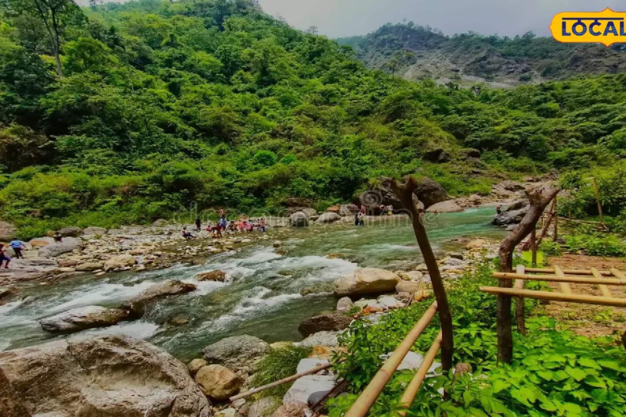 খাঁচা পাতা ছিল আগেই... সেই খাঁচাতেই ধরা পড়ল পূর্ণবয়স্ক চিতা, ভয়ঙ্কর কাণ্ড ডুয়ার্সে চা-বাগানে