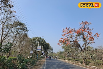 একটু একটু করে চড়ছে পারদ, উত্তরে হাওয়া অন্যদিকে ঘুরছে, ওয়েদার আপডেট