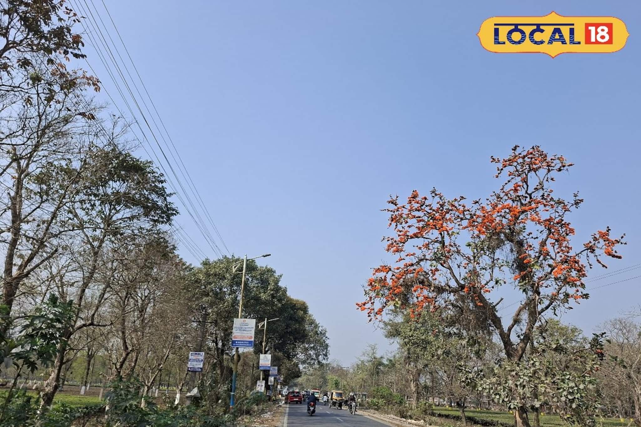 একটু একটু করে চড়ছে পারদ, উত্তরে হাওয়া অন্যদিকে ঘুরছে, ওয়েদার আপডেট