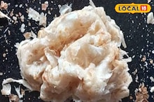 Petai Paratha Recipe: অল্প তেলে তুলতুলে! যত পেটাবে তত স্বাদ! ঝাল ঝাল ঘুগনি-লাল লাল আলুরদমের যোগ্য সঙ্গী পেটাই পরোটা