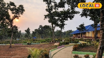 জঙ্গলের