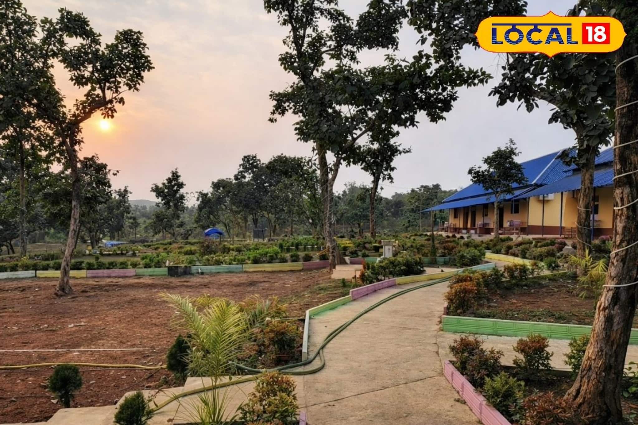 শহরের কোলাহল থেকে অনেক দূরে! লাল মাটির বনপথে ডানা মেলুন সুতানের জঙ্গলবাড়ি ইকো পার্কে শহরের কোলাহল থেকে অনেক দূরে! লাল মাটির বনপথে ডানা মেলুন সুতানের জঙ্গলবাড়ি ইকো পার্কে