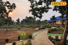 Weekend Trip: পলাশের আগুনে রাঙা অরণ্য! বাঁকুড়ার রানীবাঁধের এই 'গোপন' ঠিকানায় একবার গেলে আর ফিরতে চাইবেন না