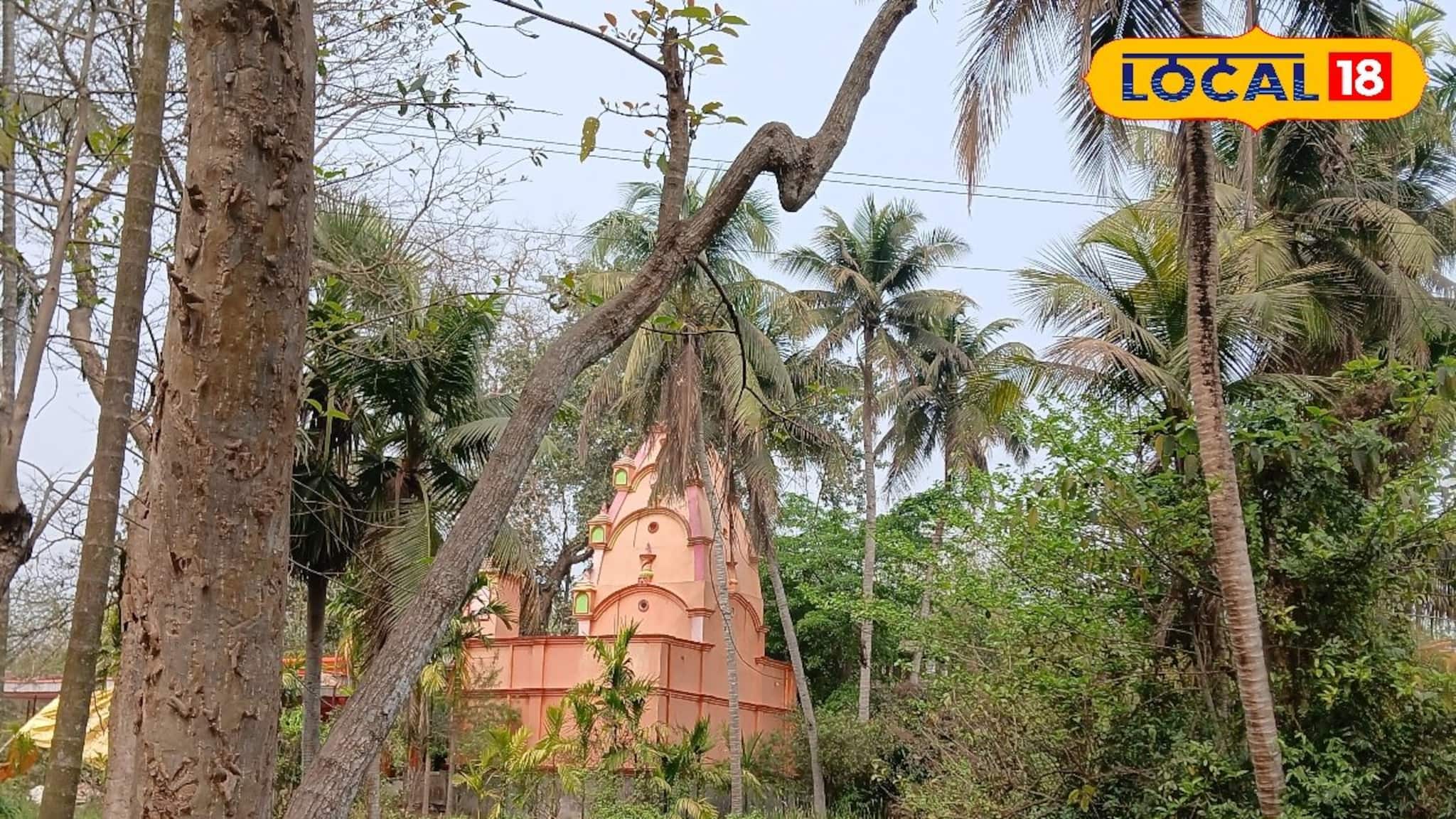 Tourist Spot Near Kolkata: এক সময় জঙ্গল ঘেরা এই জায়গা ছিল আতঙ্কের, কলকাতা থেকে জাস্ট ঢিল ছোঁড়া দূরে এটাই এখন এক রাতের জন্য দারুণ 'ট্যুরিস্ট স্পট'