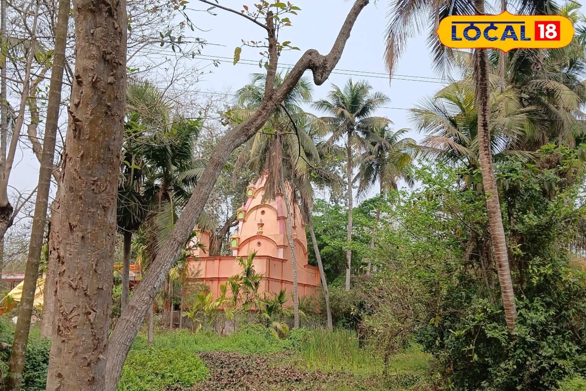 এক সময় জঙ্গল ঘেরা এই জায়গা ছিল আতঙ্কের, এটাই এখন এক রাতের জন্য দারুণ 'ট্যুরিস্ট স্পট'