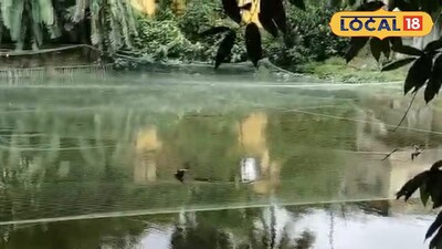 পুকুরপাড়ে সবজি চাষ