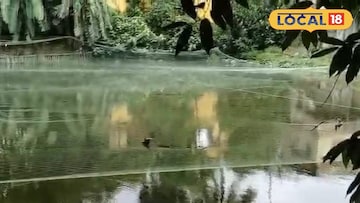 পুকুরপাড়ে